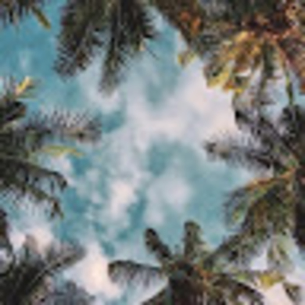 Meet your Posher, Savannah